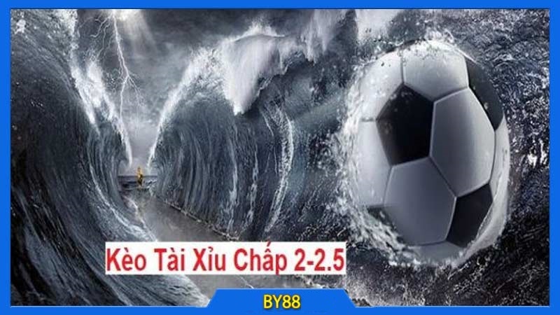 Tài Xỉu 2 2.5 Là Sao? Chia Sẻ Cách Đọc Chuẩn 100% Từ Cao Thủ