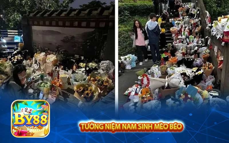 tưởng niệm nam sinh mèo béo